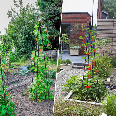 Zyvion 63'' H x 15'' W Obelisk Trellis