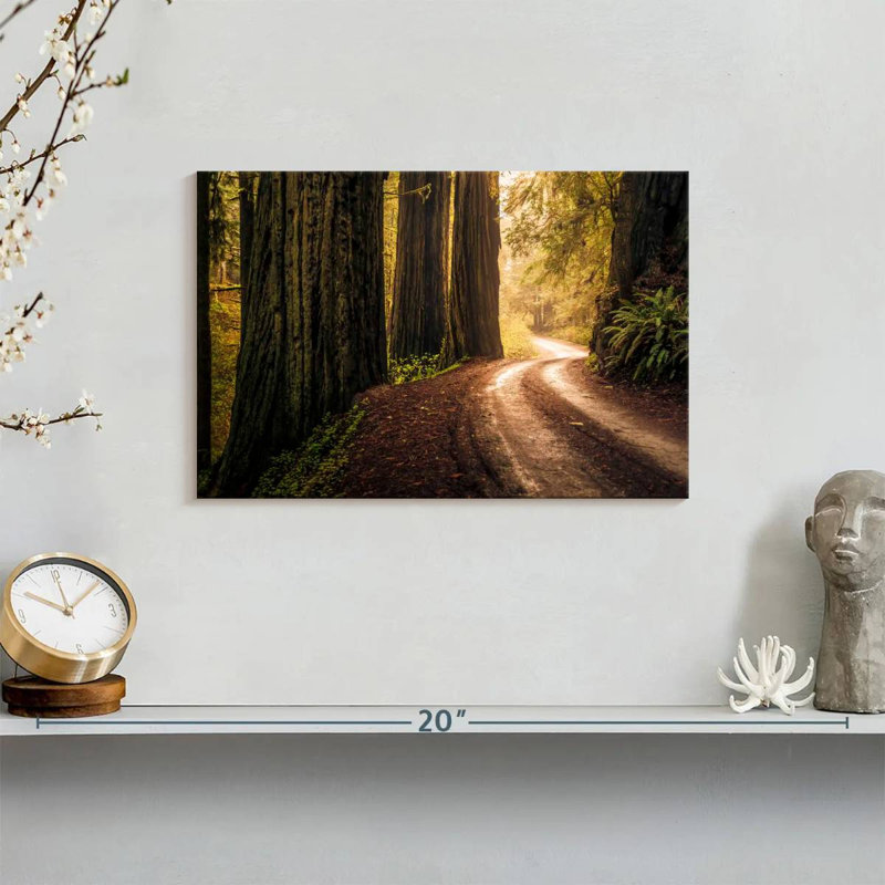 Harnek Howland Hill Road Redwoods, 8'' H x 12'' W