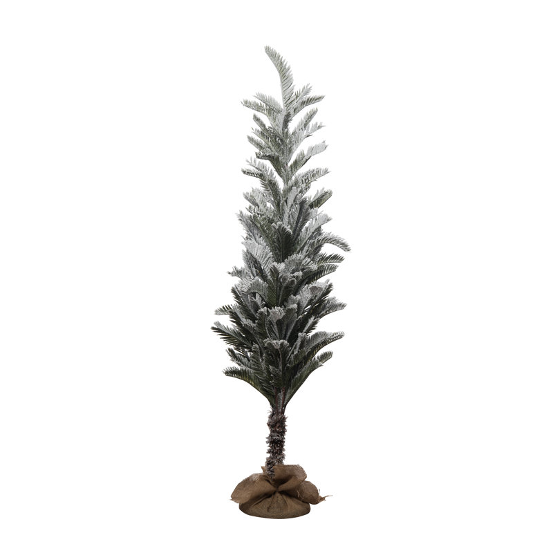 Sapin de Noël, 5'