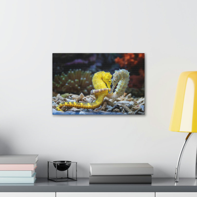 No Frame Print on Canvas, 11cm H x 14cm W
