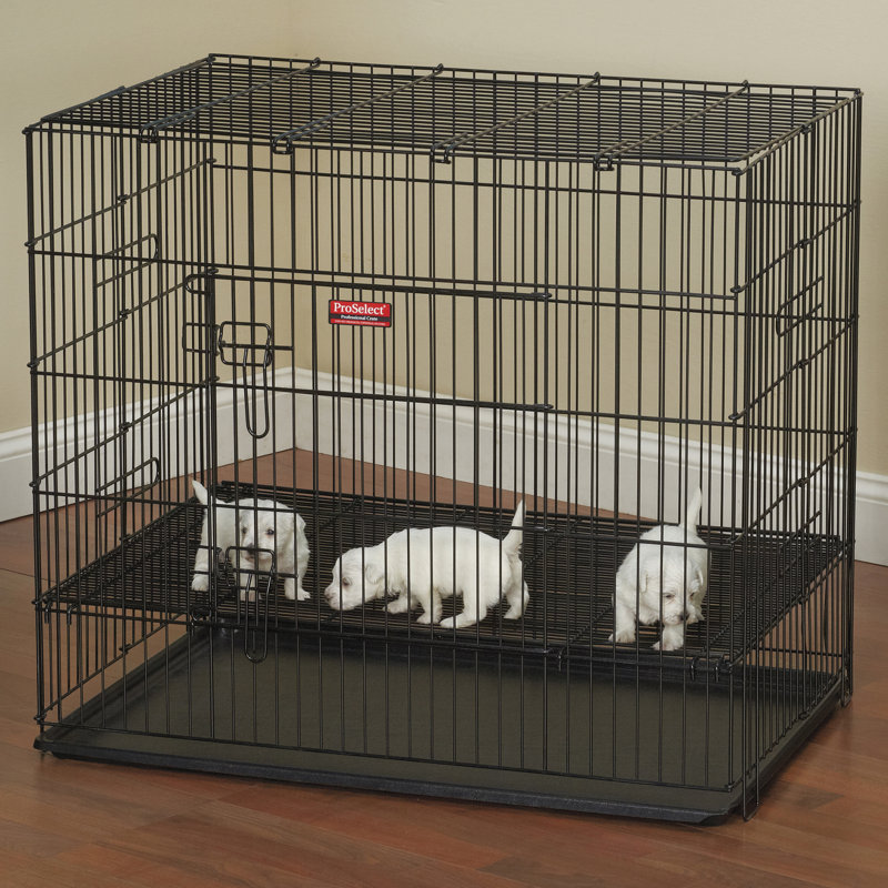 Metal Pet Crate with 2 Doors