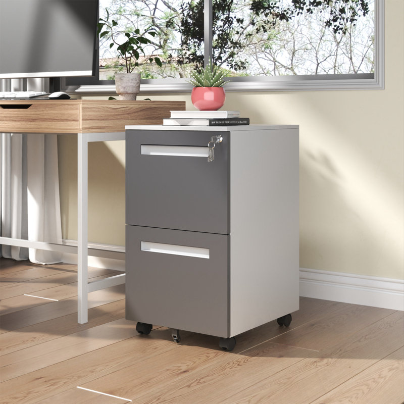 Metal Mobile File Cabinet With 2 Drawers