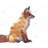 Red Fox Brown Wildlife Placemat | Polyester Home Decor