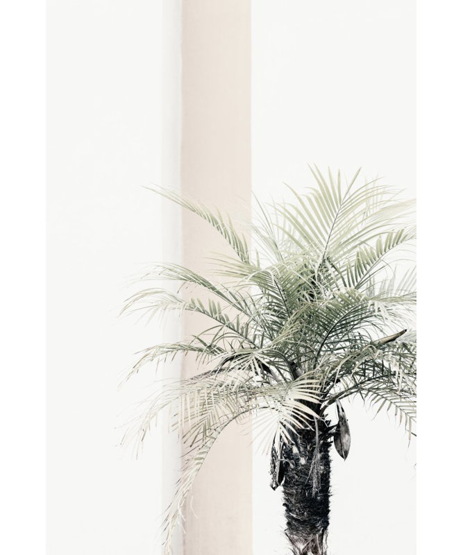 Wrapped Canvas Print, 50.8cm H x 76.2cm W