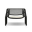Aliza Wicker Outdoor Lounge Chair-109087780
