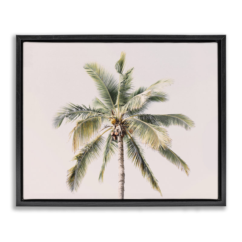 Palmier en dessous sur cadre flottant rose, design par Sissi et Seb, Noir, H 17 po x l 21 po