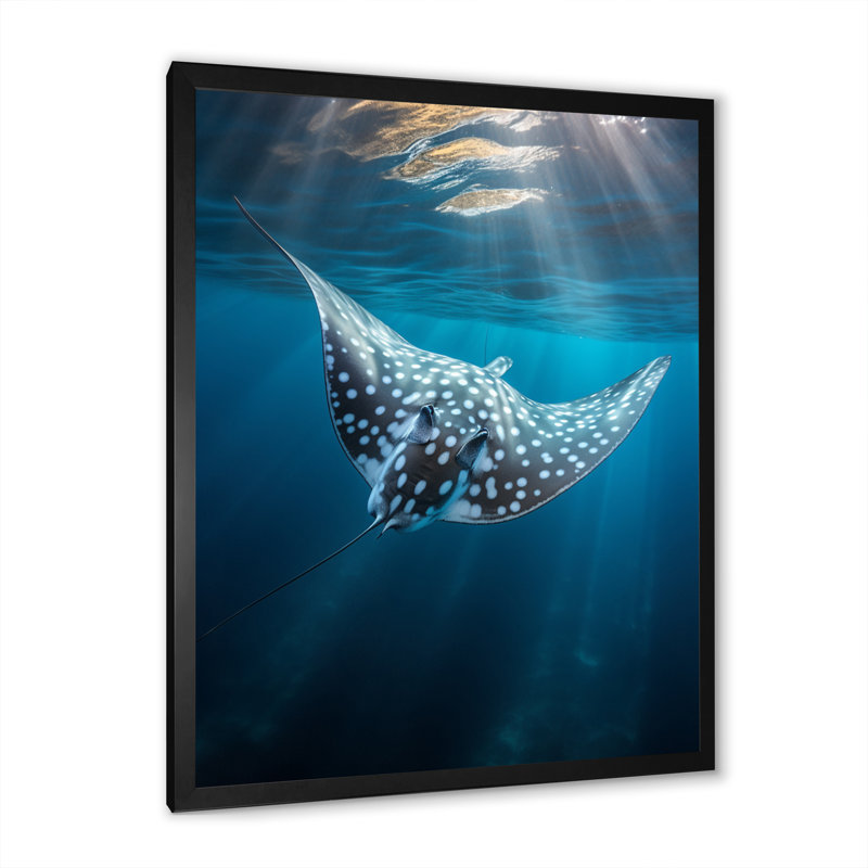 Wilbrecht Ray Graceful Glide Ocean sur toile, Cadre photo noir, H 20 po x l 12 po x P 1 po