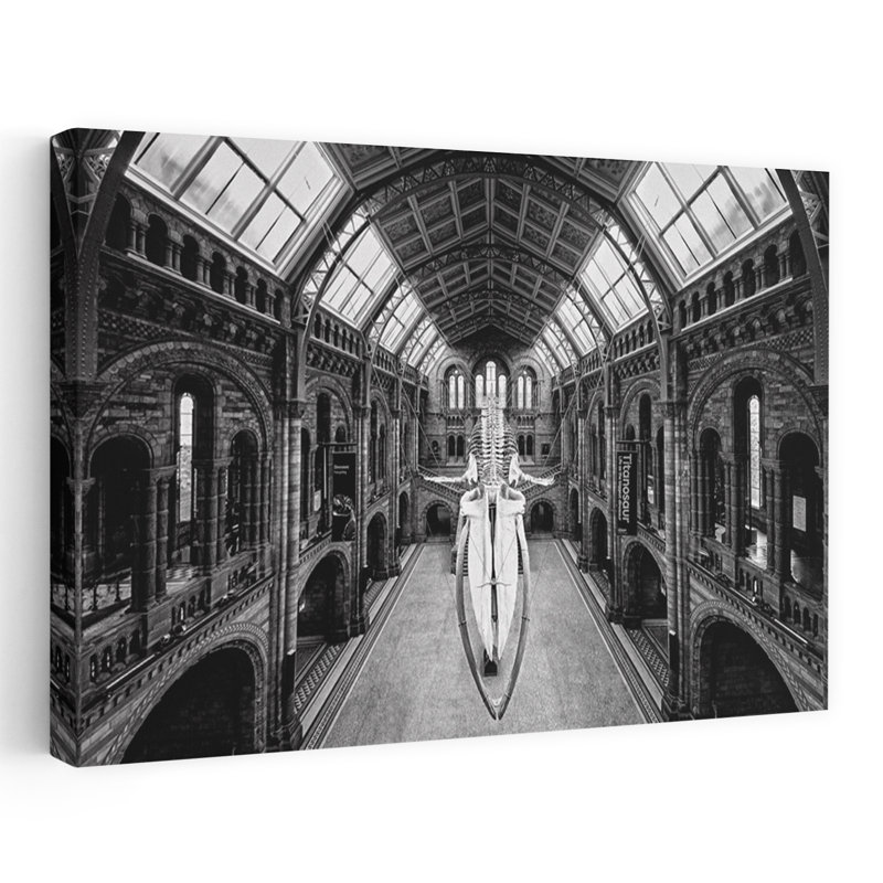 Grand musée de baleine, squelette classique, impression d'art gothique de baleine gothique classique, 40" H x 60" W