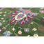 Hand-Knotted High-Quality Green and Wine Area Rug