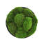 Nature's Nostalgia 8'' Moss Plant in Fiberstone Planter-372185923