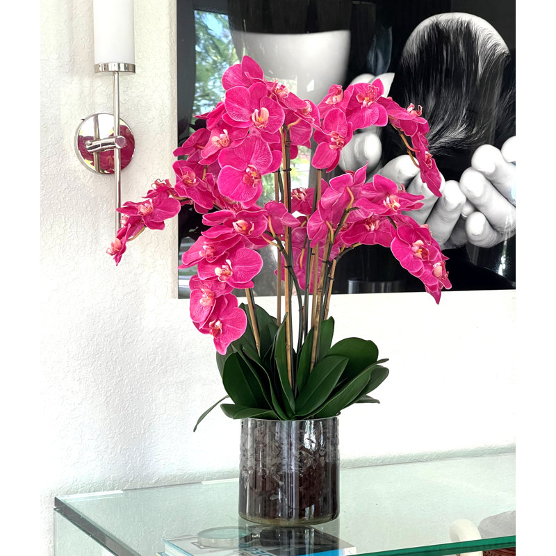 Orchidée en fleurs dans un vase, Rose