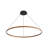 Nyal 59" LED Ring Chandelier-519580460