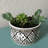 Handmade Ceramic Pot Planter-581649286