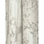 Papier peint Aspen Grove-111927918