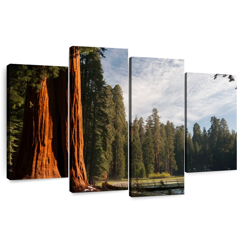 Harnek Kings Canyon Sequoia Trees, 54'' H x 84'' W
