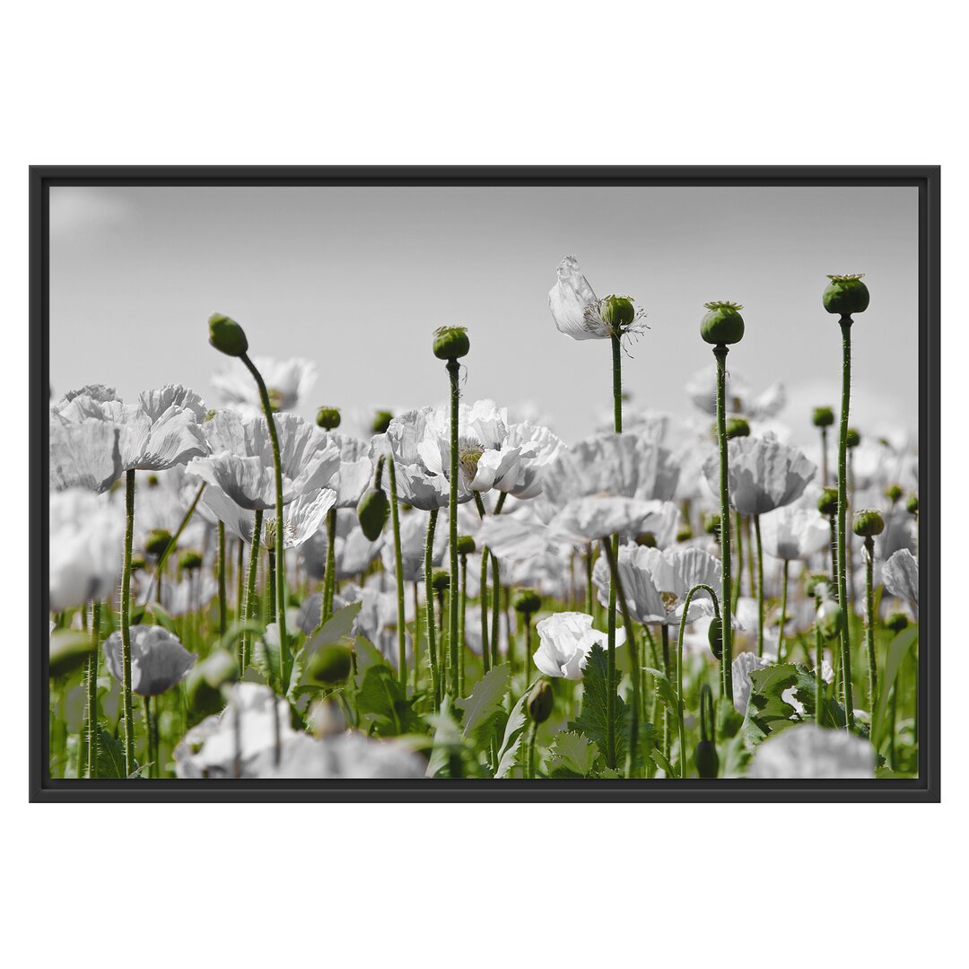 Gerahmtes Wandbild Blumenwiese Mohnblumen