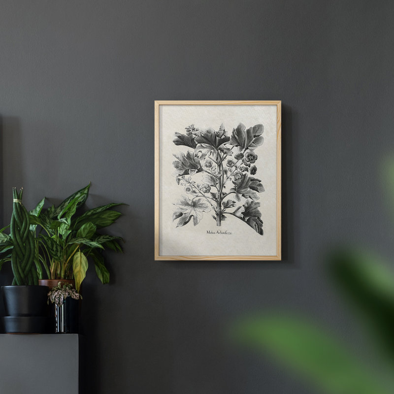 sur papier, Naturel, H 10 po x l 8 po
