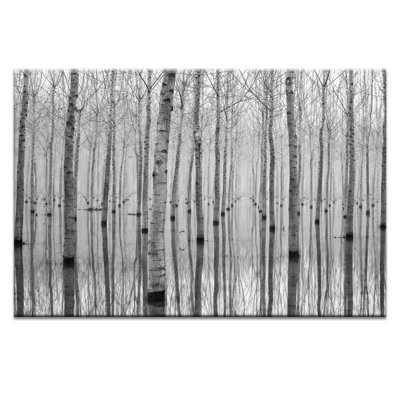 Print on Canvas