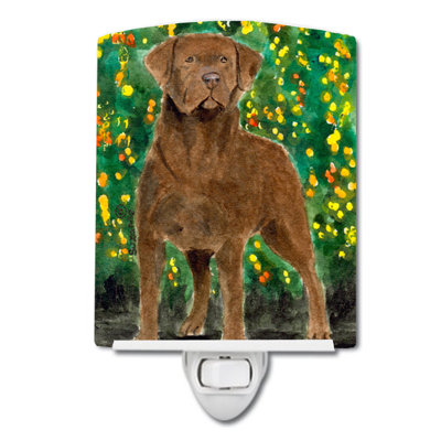 Chesapeake Bay Retriever Ceramic Night Light