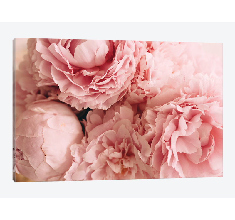 «Blush Peony», impression sur toile, H 12 po x l 18 po x P 1,5 po, Pas de tapis, Toile tendue
