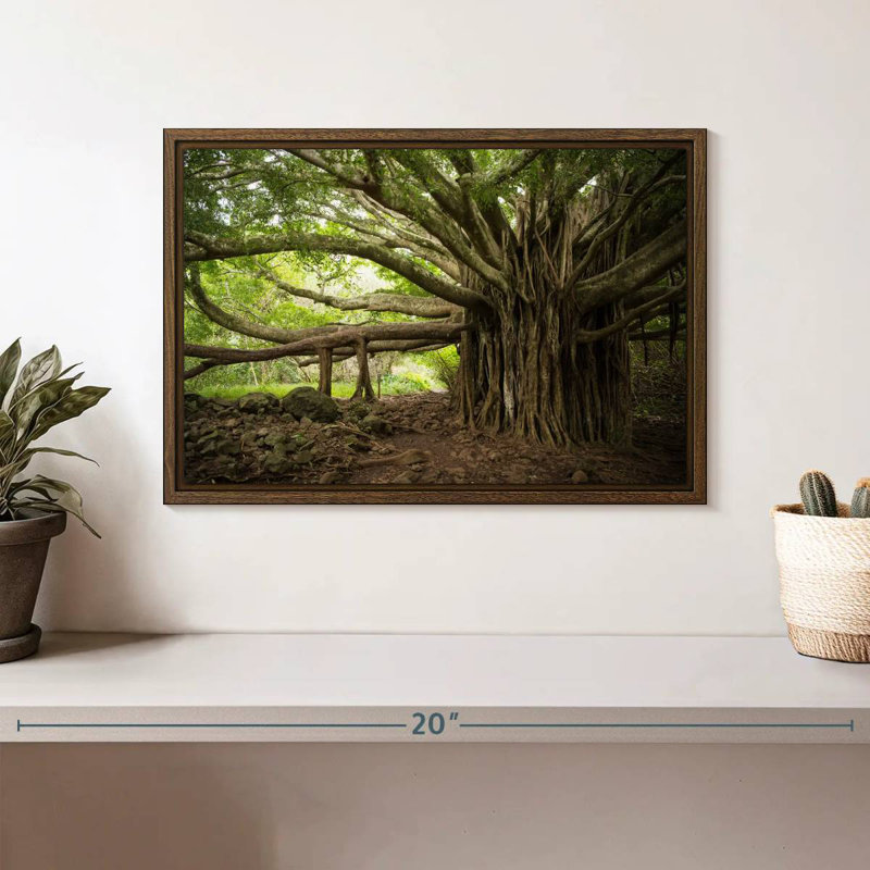 Banyan Tree, 13 po x 9 po, Cadre flottant noyer
