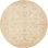 Oriental Indoor Rug
