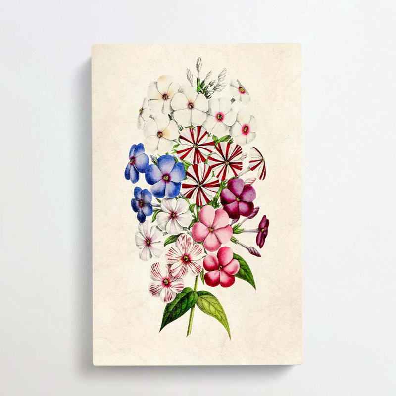 Illustration of a Petunia Flowers - Wrapped Canvas Painting Print, 50cm H x 35cm W x 3cm D