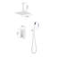 Système de pomme de douche 16 po-118580444