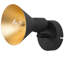 Alonte Spotlight-2078977059
