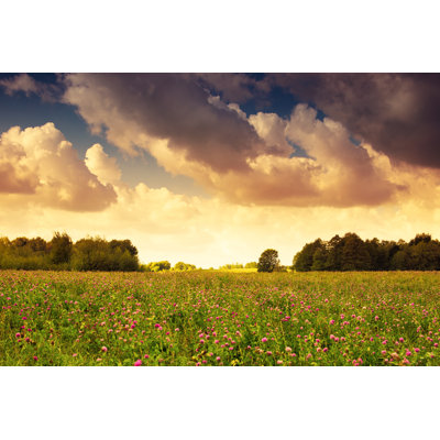 " Countryside Meadow " by Ysuel