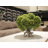 Silk Hydrangea Arrangement in Vase-550695006-550694993