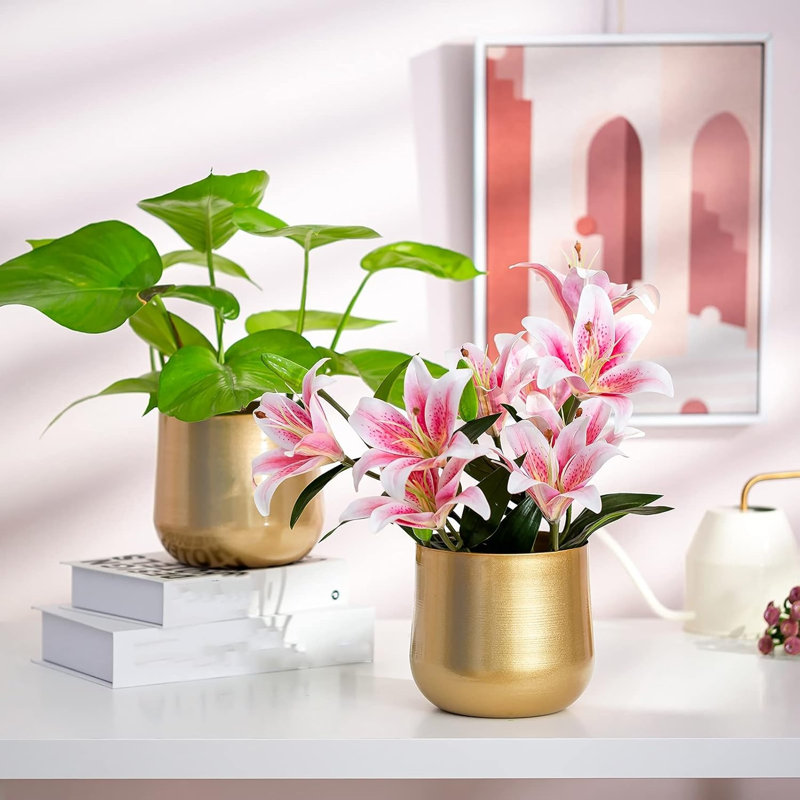 Ensemble de 2 pots de fleurs en métal avec trou de drainage
