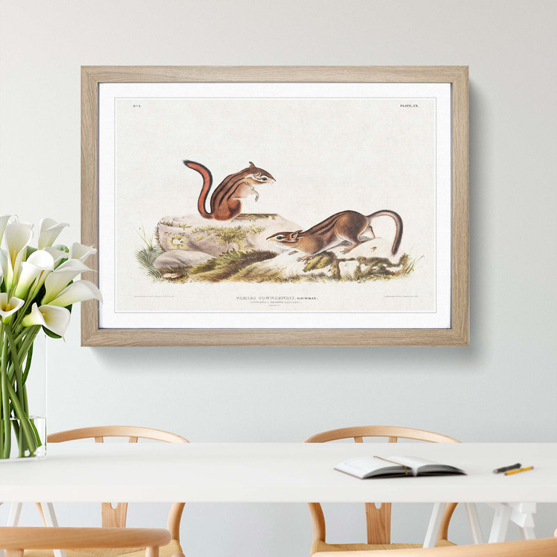 Ground Squirrels by J.W. Audubon - Picture Frame Painting Print, 27cm H x 36cm W x 2cm D, Oak Framed