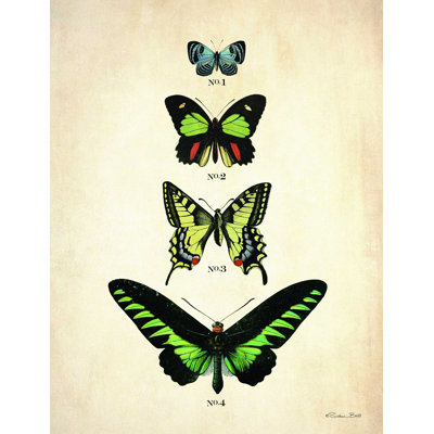 " Butterflies 1 " by Susan Ball