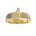 Polished Brass