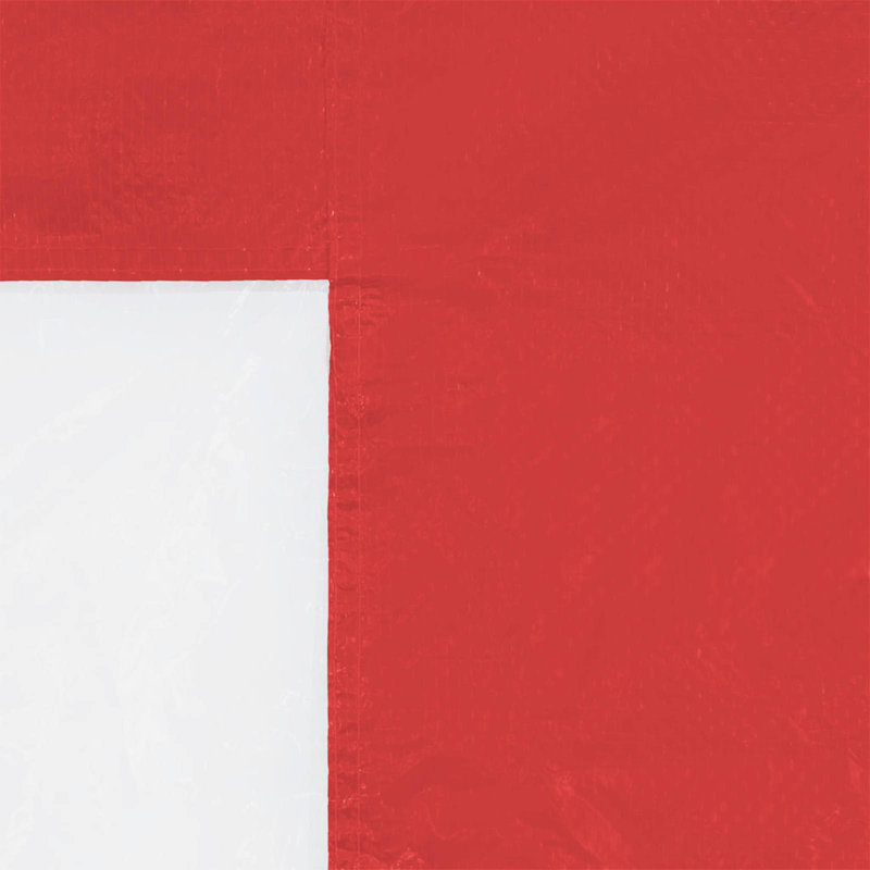 VidaXL Side Wall for Canopy, 195cm H x 300cm W x 0.1cm D, Red