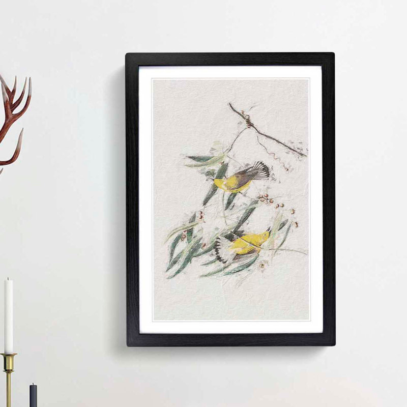 Prothonotary Warbler Birds by John Audubon - Picture Frame Painting Print, 36cm H x 27cm W x 2cm D, Black Framed