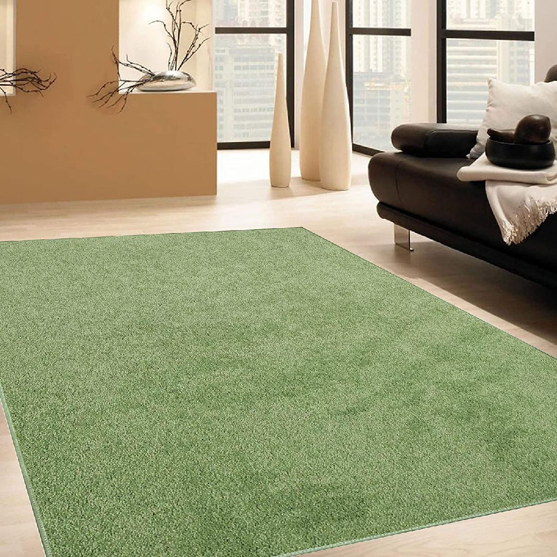 pale green carpet in room
