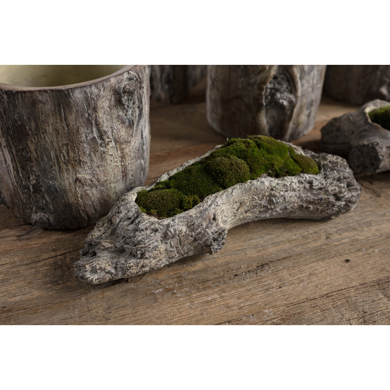 Aube Statue Planter, 3.25" H x 16" W x 7" D