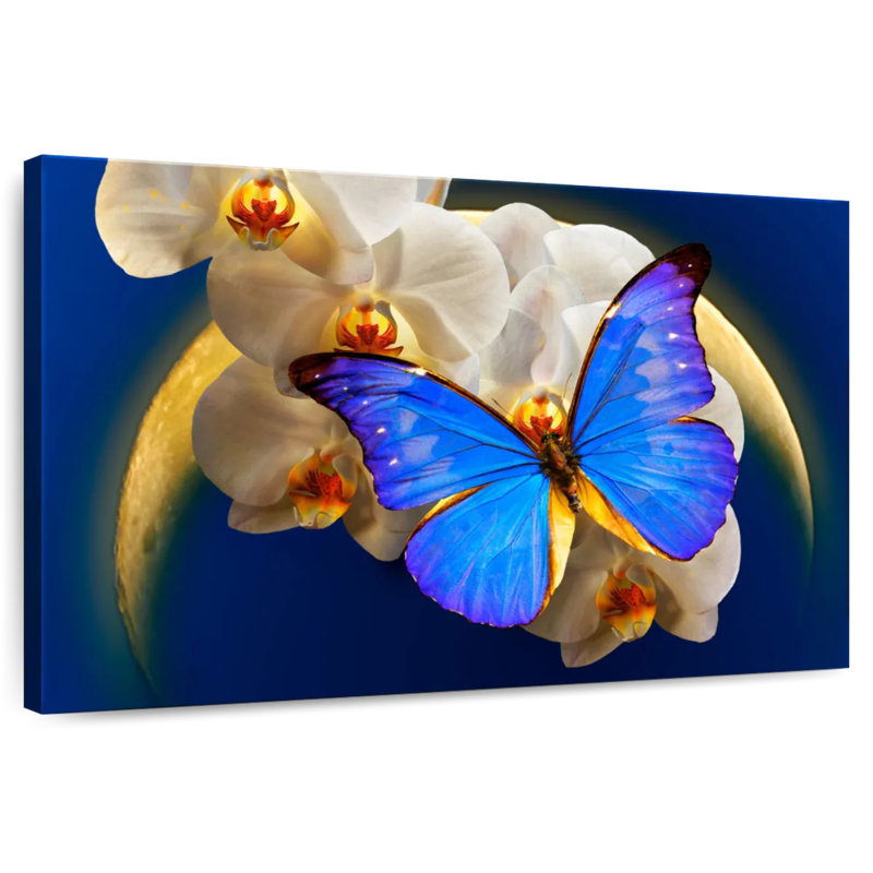 Moonlit Morpho Butterfly, 8" H x 12" W