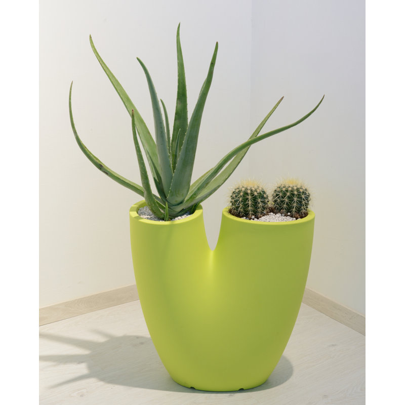Flowerpot Bilobo, Acid Green