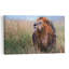 Majestic African Lion Contemporary Cat Lion Nature Wildlife Wall Art Print 1 Piece Wrapped Canvas Wall Art-868126582