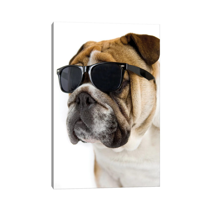 George by Rachael Hale - Print on Canvas, Wrapped Canvas, 66.04 cm H x 45.72 cm W x 1.91 cm D