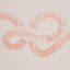 Papier peint Schumacher x Backdrop Rhapsody-89061145