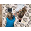 Saarim Vinyl Machine Printed Area Rug-1203980496