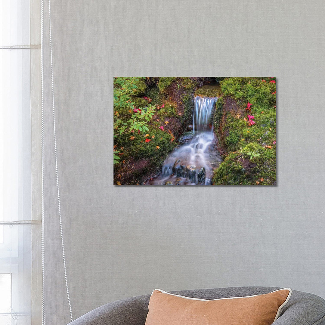 Tranquility Falls von Tim Oldford - Gallery-Wrapped Canvas Giclée on Canvas