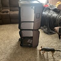 Gainey Large Pet Carrier