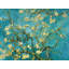 Almond Blossom by Vincent Van Gogh - Wrapped Canvas Print-424903465