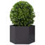 Planter Box-104931345-104931351