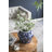 Ailis Ceramic / Porcelain Ginger Jar